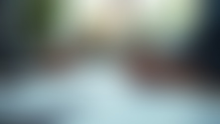 The Benefits of Professional Insurance Claim Help