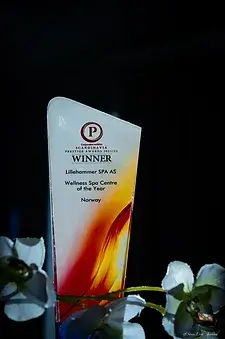Trofe for Scandinavian prestige awards