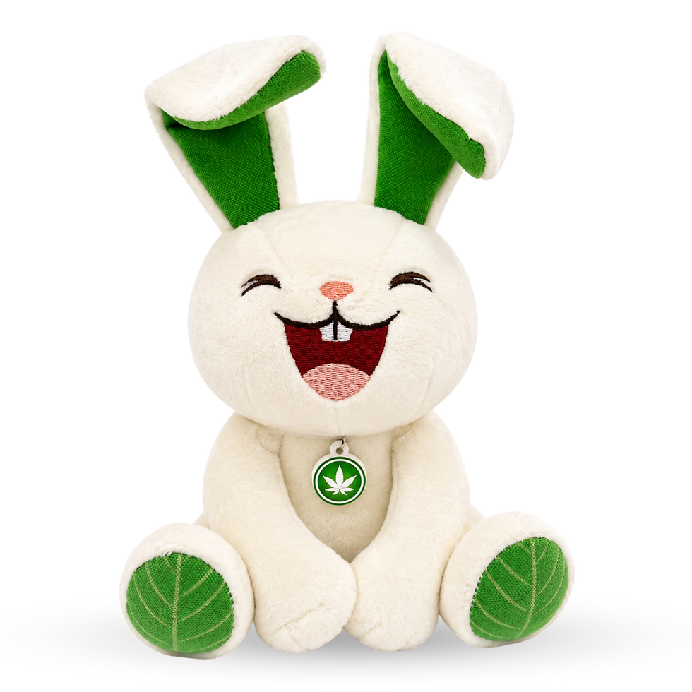 Thumbnail: Meg the Baked Bunny Interactive Dog Toy and Collectible Plush