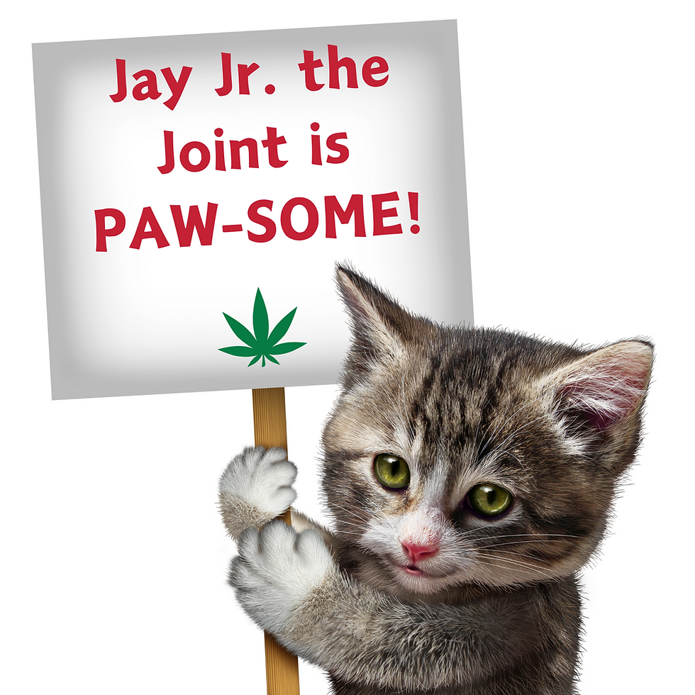 Thumbnail: My Name is Jay Jr., Cute Stuffed Parody Joint Cat Toy, Funny Catnip Weed Toy