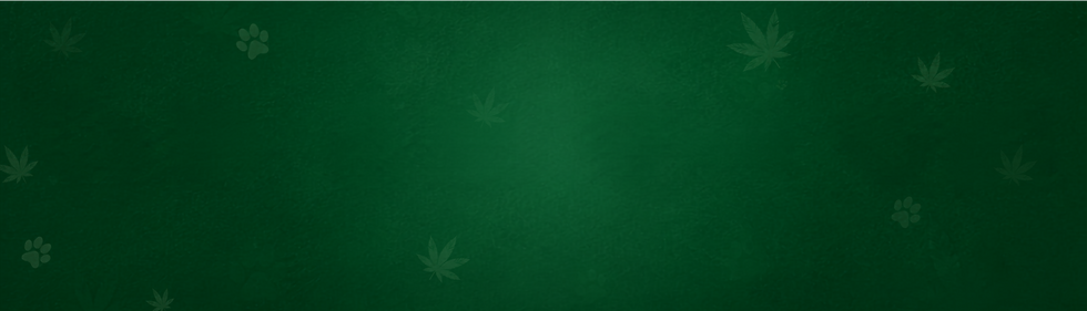 WIX 2025 site graphics horizontal (1).png