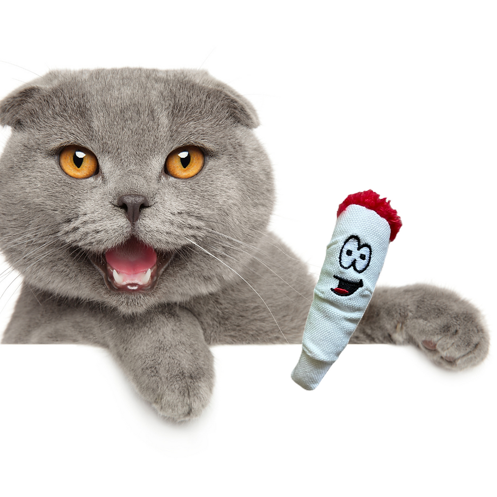 Thumbnail: Jay Jr. The Joint 420 Marijuana Cat Toy