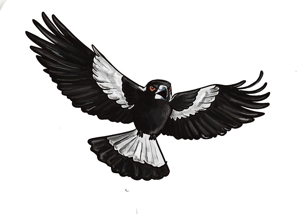 Thumbnail: Aussie birds - DIGITAL DOWNLOAD