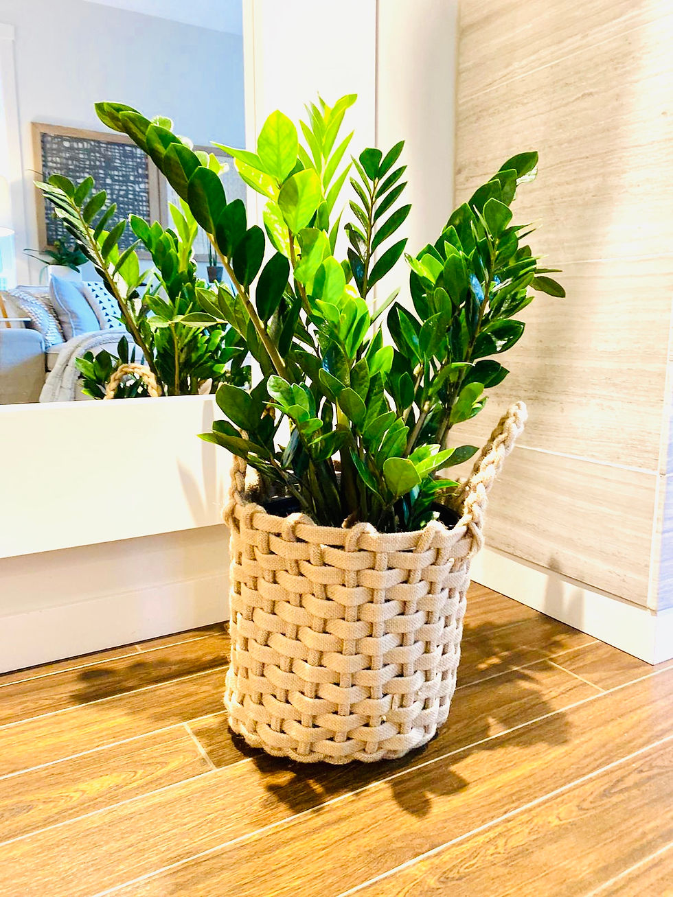 Thumbnail: Braided Jute Basket