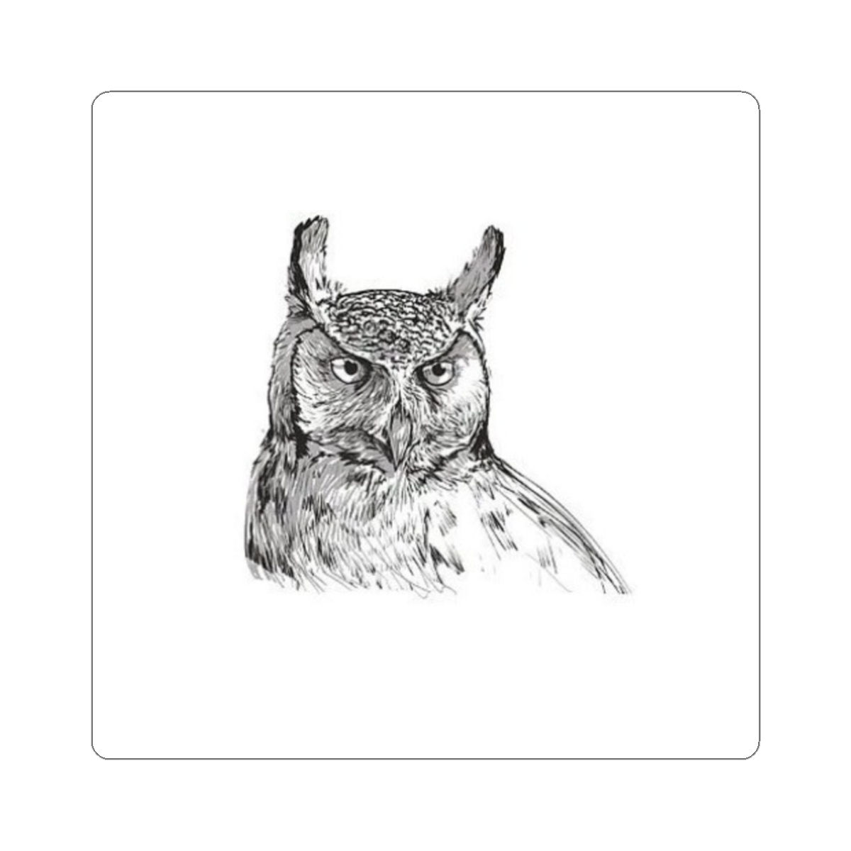 WBN Owl Sticker