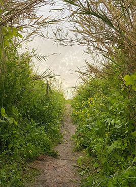 IMG-20220403-WA0035.jpg