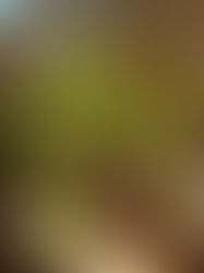 Recognising the concerns and taking steps to improve your herb and vegetable garden