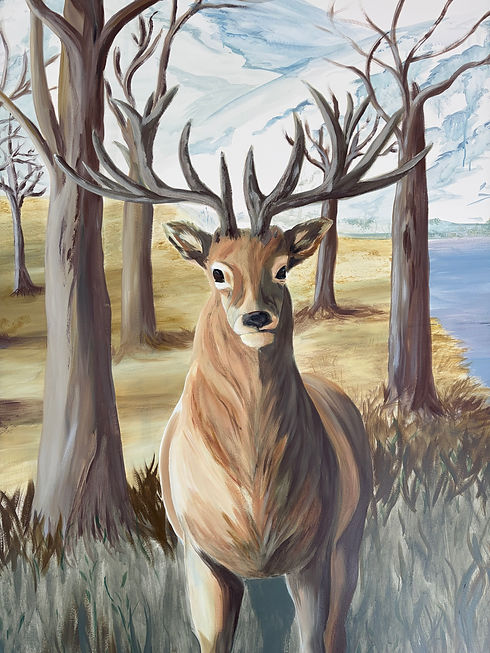 buck.jpeg