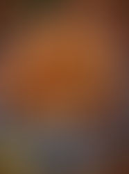 A New Culinary Voice for Newark