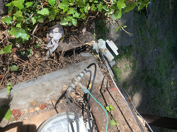 infrastructure-ivy threatening meter.HEIC