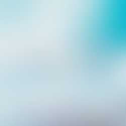 おとなのあそび