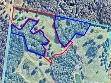 The proposed site of the Uki tree planting by Tweed Future Forests.