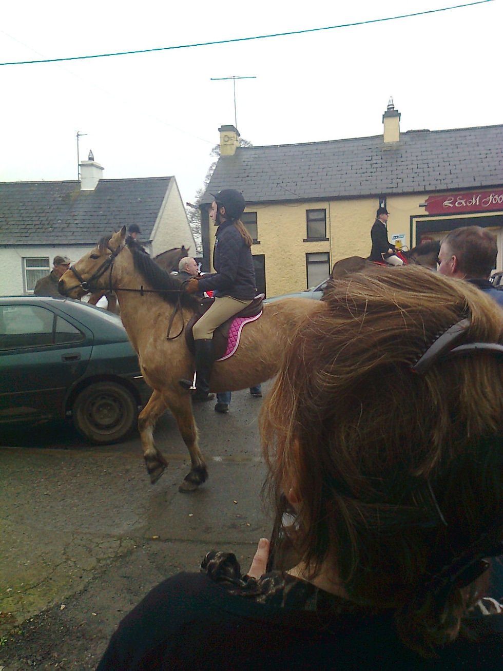 Photo0600 hunt in templetouhy 2013.jpg