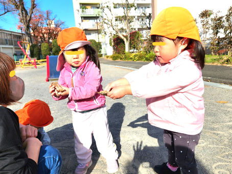 先生、綺麗な落ち葉見つけたよ!