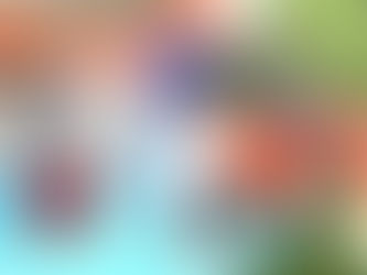 足だけって言ったのに・・・全身ずぶ濡れでご機嫌!