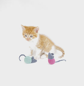 Souris au crochet