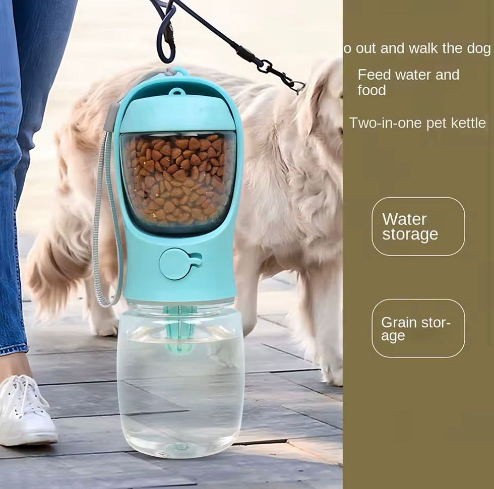 Thumbnail: Portable water bottle with food storage