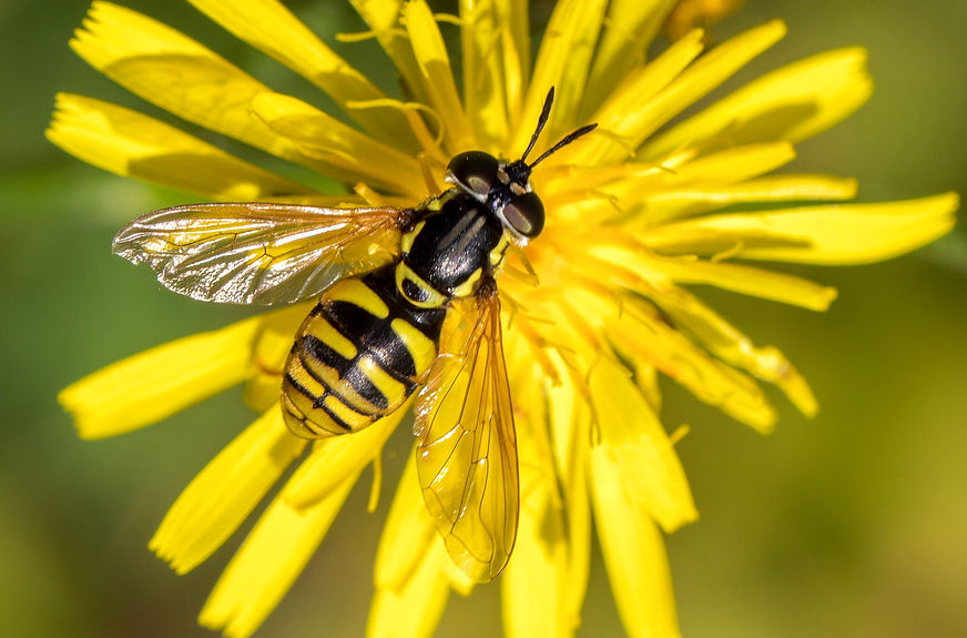 202wx - C_edited.jpg