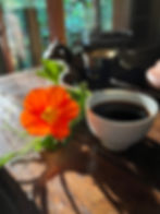 Traveling with the Immortals, A Rare Tea Session