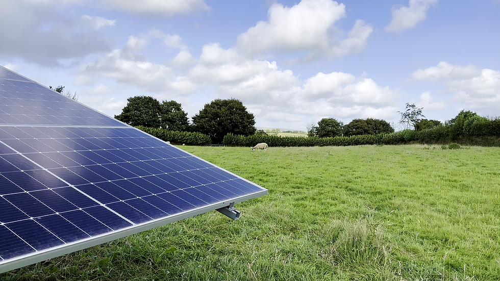 West Buckland School ground-mounted solar array