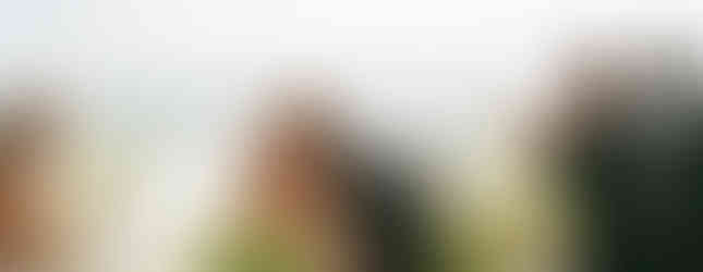 Bride and groom share a romantic dip and kiss as their guests applaud, all smiles on their wedding day.