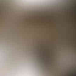 Bride and groom holding hands during their wedding ceremony, capturing a romantic moment.