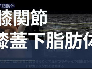 運営より 🎥新規配信のお知らせ