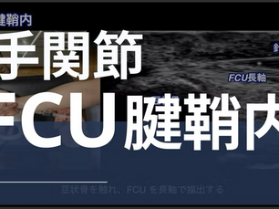 運営より 🎥新規配信のお知らせ