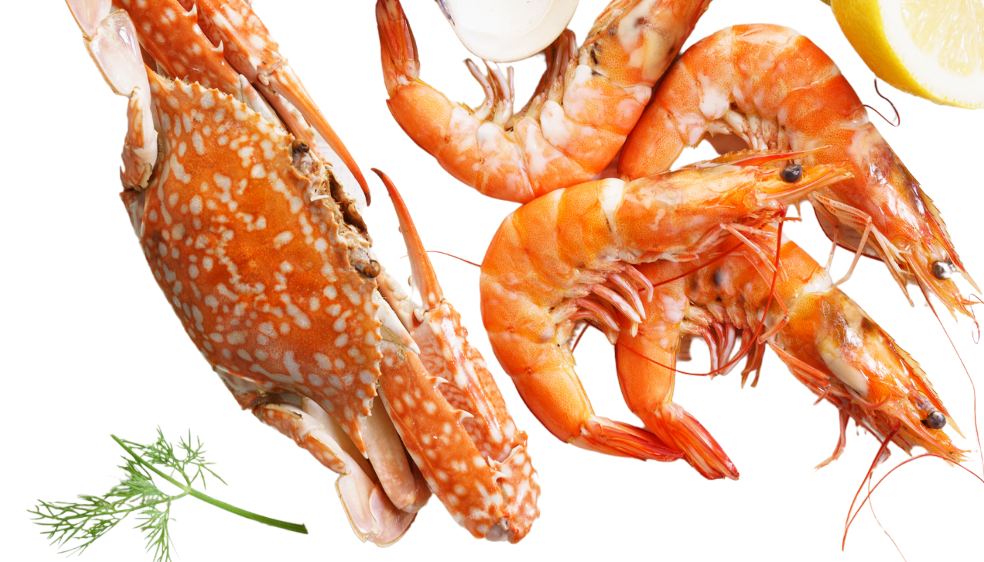 Arranged Food and Objects