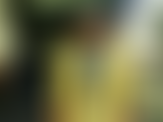 Expert Water Damage Restoration Services in Oakland County