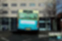 Bus-Full-Back-Weigth-Watchers.jpeg