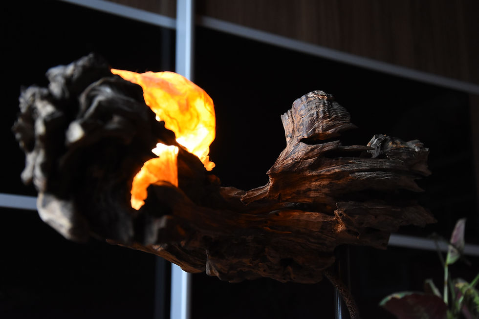 Thumbnail: Mother Olive / light sculpture