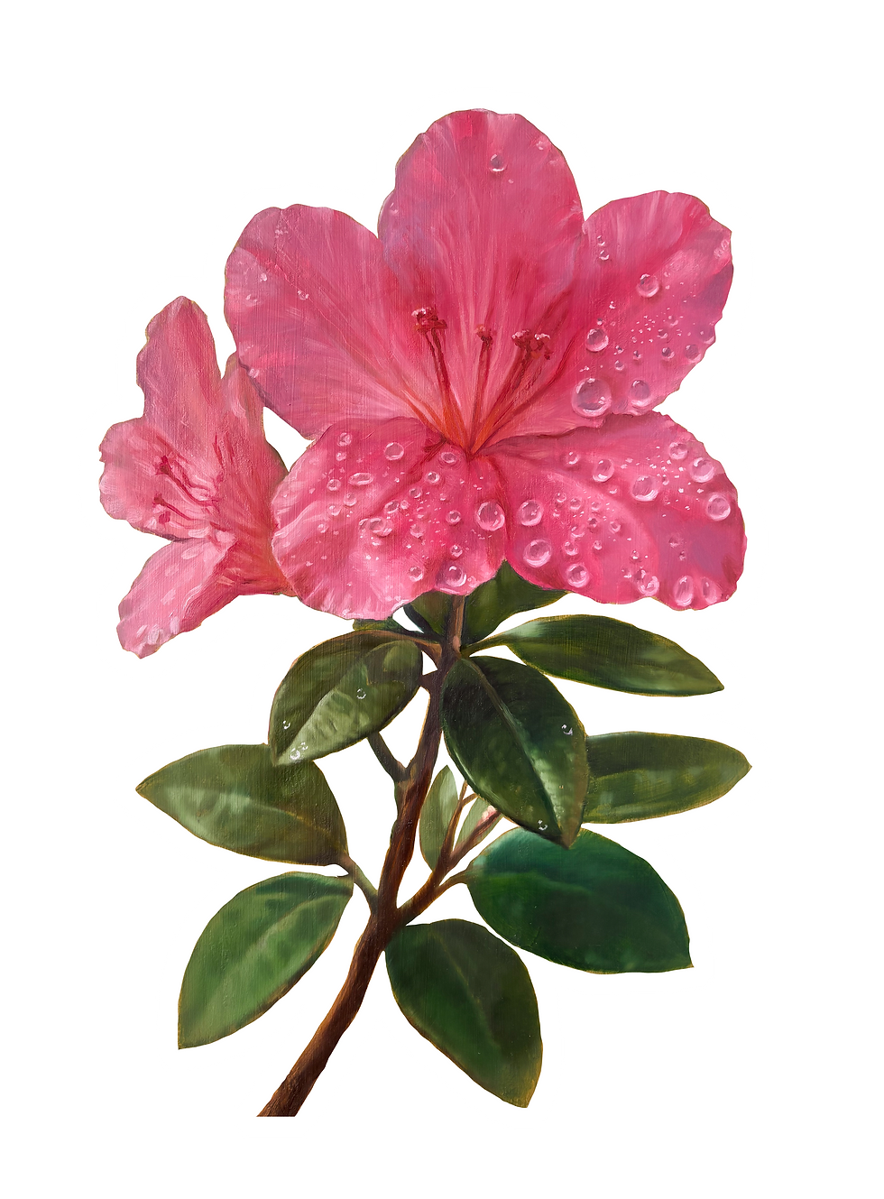 Thumbnail: Jeweled Azalea Sticker