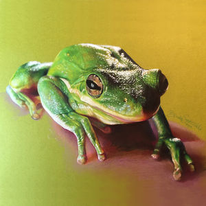 Realistic colored pencil drawing of a green frog on warm-toned paper with detailed shading and vibrant highlights.