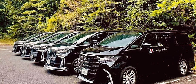 阿爾法車隊