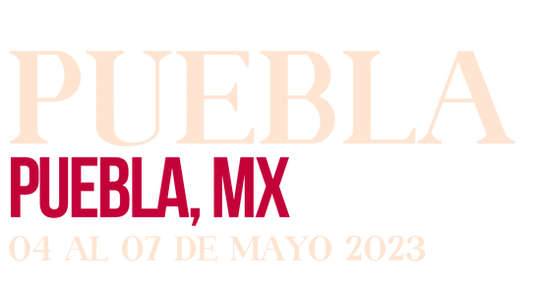 Pagina web aleica (19).png
