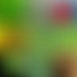 Let's Talk Spiritual Mathematics... (P2)