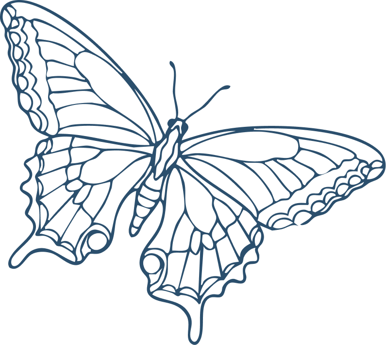 mariposa-line.png