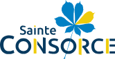 st consorce logo