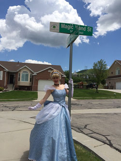 Cinderella for hire princess Utah