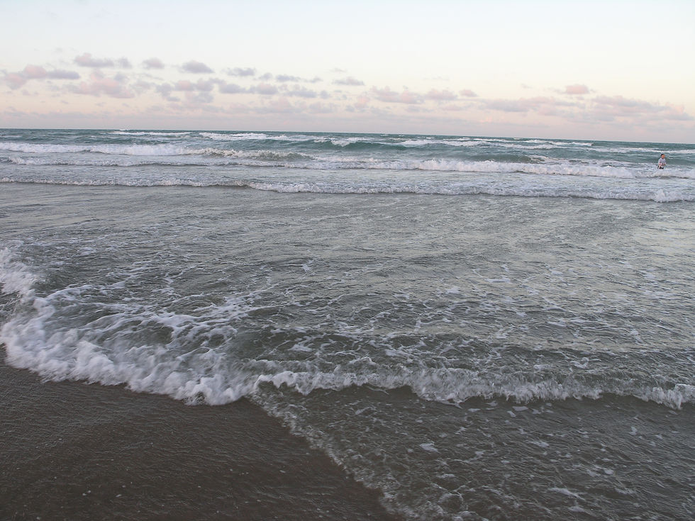pic_wave