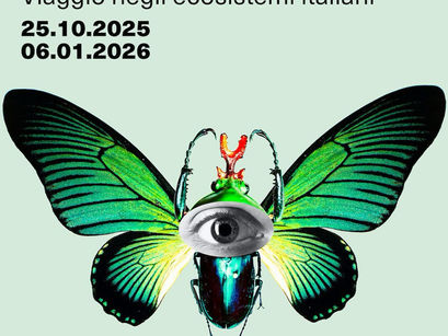 Per iniziare l'anno al meglio: l'elogio della diversità