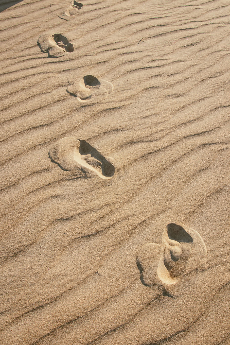 Yoguera (mar25)-8237.jpg