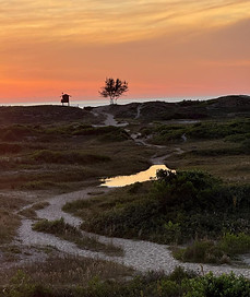 WhatsApp Image 2025-01-09 at 18.54.03.jpeg