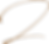 Z icon_Copper.png