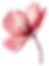 Pink Flower 1_large.png