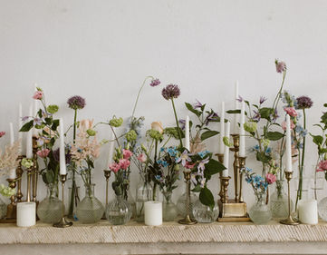 Alejandro Onieva-732_websize.jpg