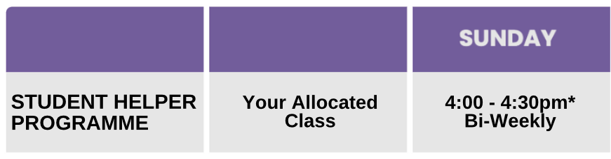 student helper programme