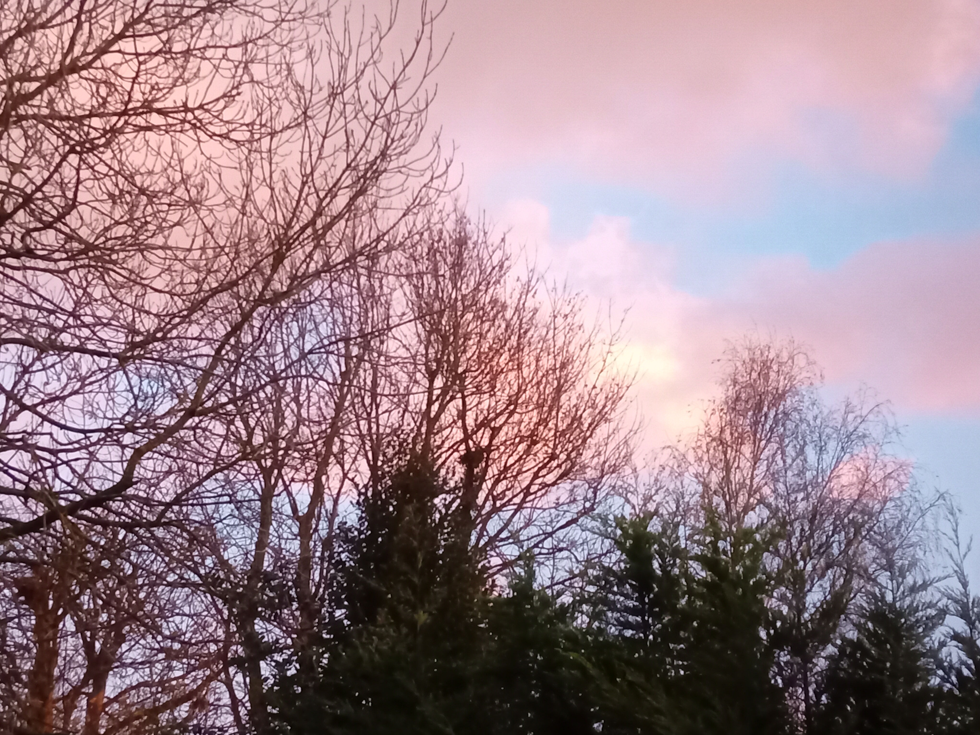 UPSETTING POLITICAL REFORMS