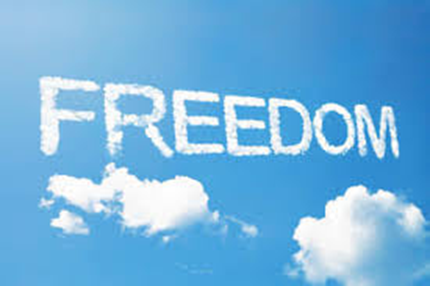 The Value of Freedom content media
